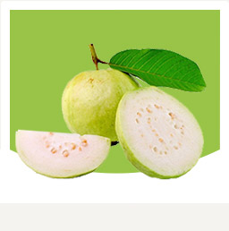جوافة